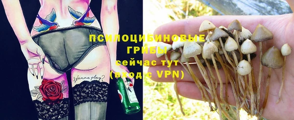 apvp Абдулино