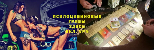 спиды Алзамай