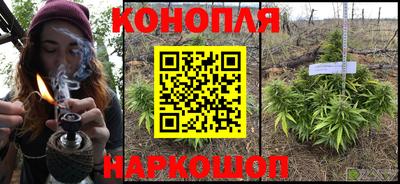 сатива Волгодонск