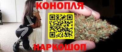 амф Гатчина