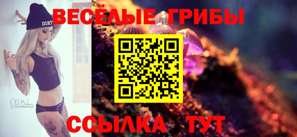 Галлюциногенные грибы Magic Shrooms Брянск