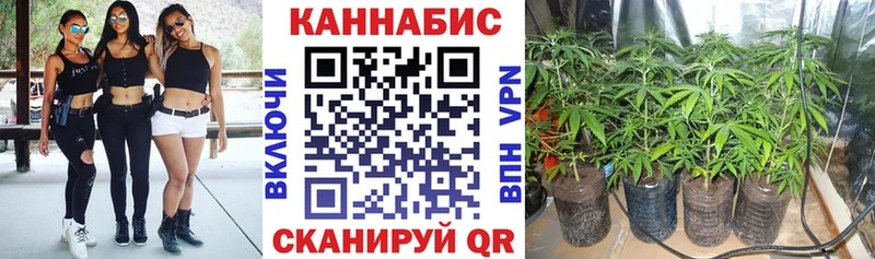 что такое наркотик Брянск мега зеркало Каннабис THC 21%